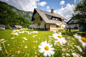 Apartments Darinka Mencinger Bohinjska Bistrica